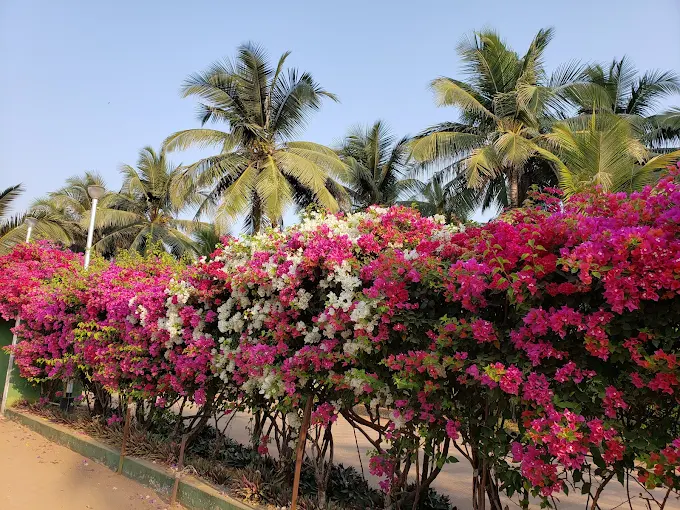 unnamed - 2025-09-02T124622.557